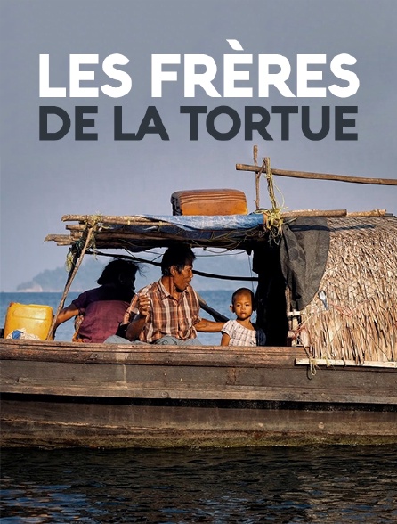Les frères de la tortue