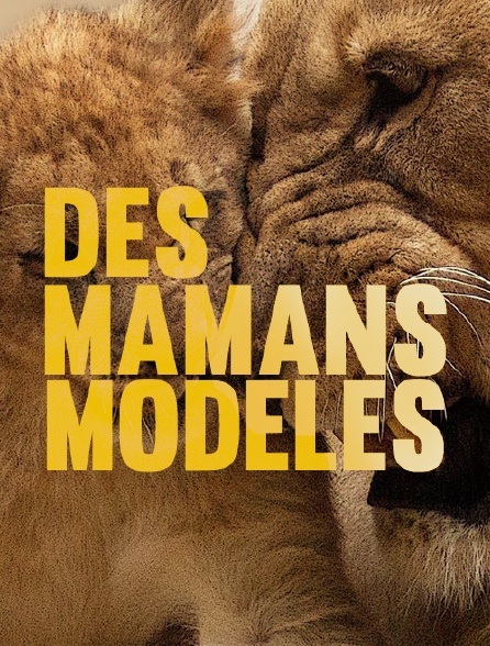 Des mamans modèles