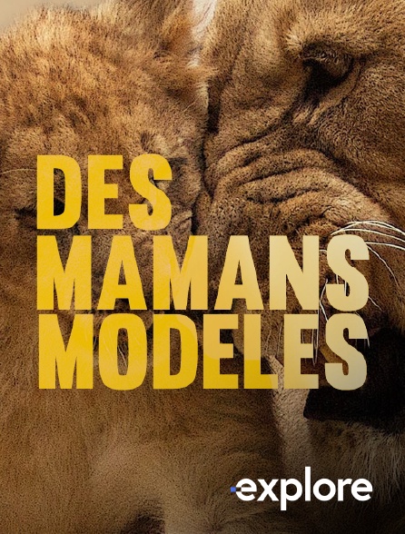 EXPLORE - Des mamans modèles