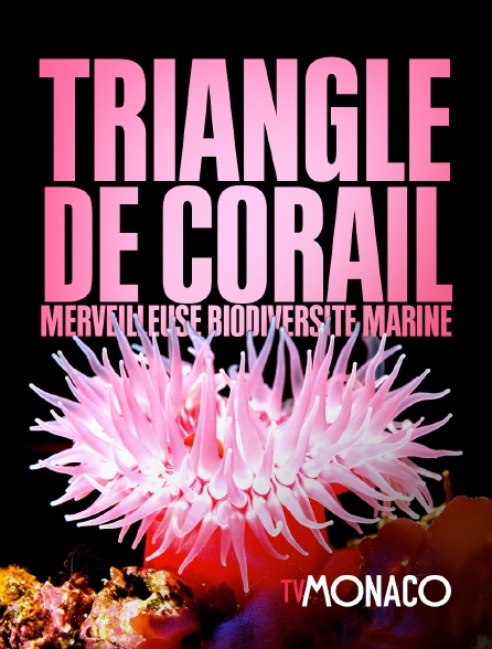 TV Monaco - Triangle de Corail : merveilleuse biodiversité marine