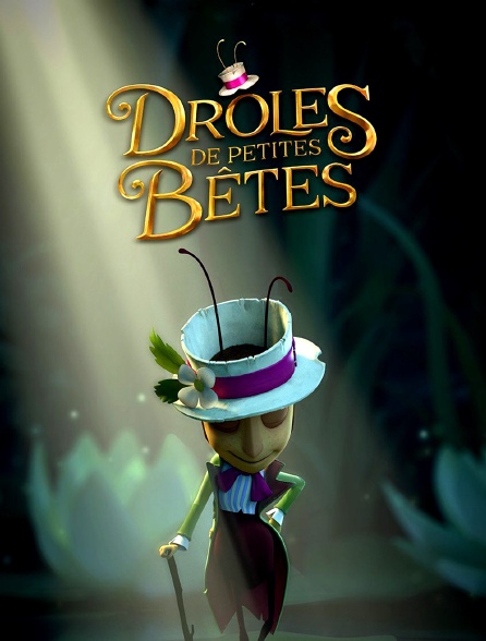 Drôles de petites bêtes