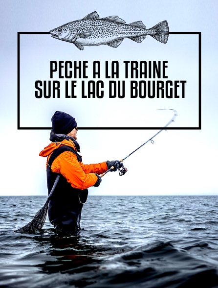 Pêche à la traîne sur le lac du Bourget