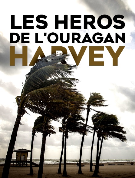 Les héros de l'ouragan Harvey