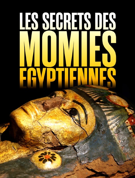 Les secrets des momies égyptiennes