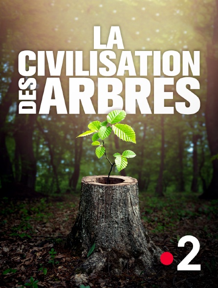 France 2 - La civilisation des arbres