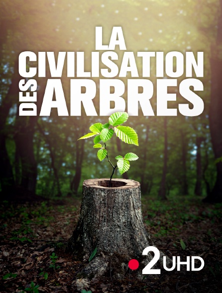 France 2 UHD - La civilisation des arbres