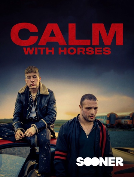 Sooner - Calm with Horses