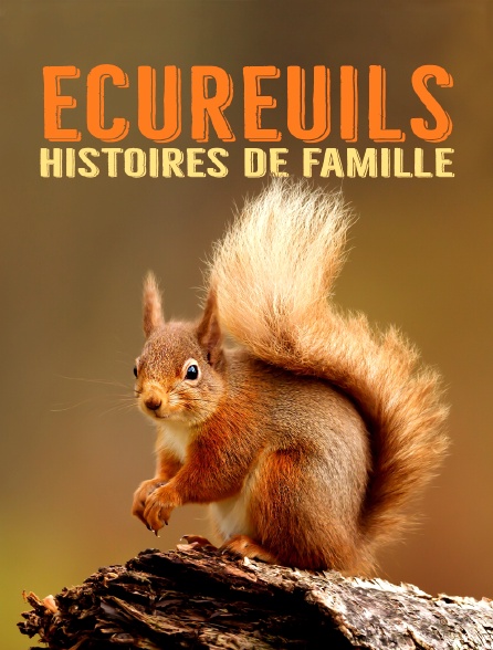 Ecureuils, histoires de famille