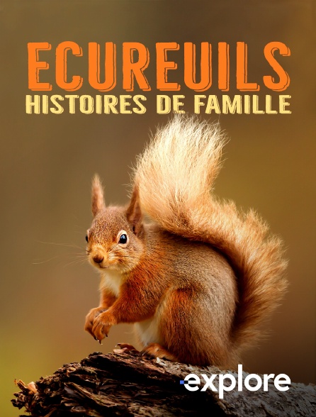 EXPLORE - Ecureuils, histoires de famille