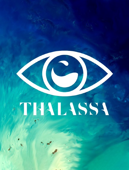 Thalassa