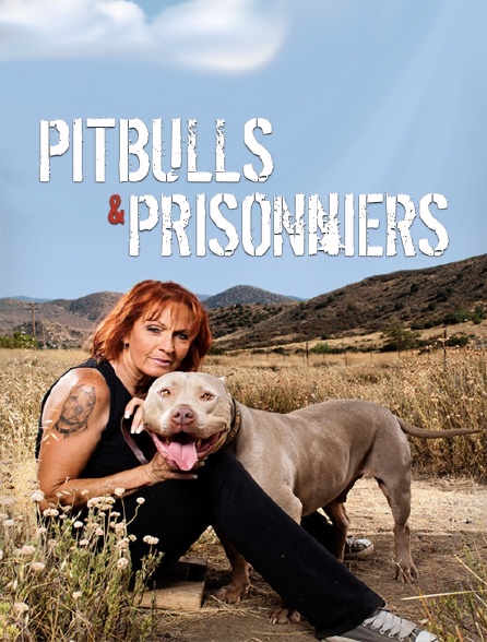 Pitbulls et prisonniers