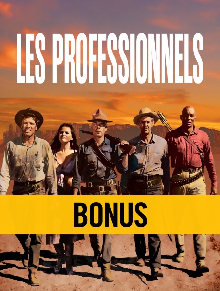 Les professionnels : bonus