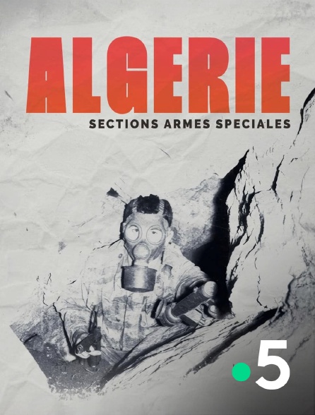 France 5 - Algérie, sections armes spéciales