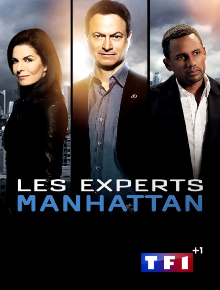 TF1 +1 - Les experts : Manhattan