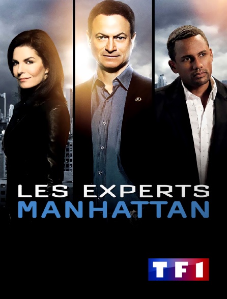 TF1 - Les experts : Manhattan