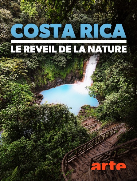 Arte - Costa Rica : Le réveil de la nature