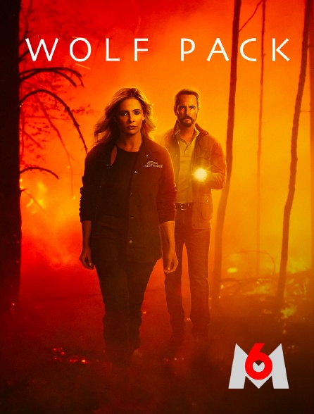 M6 - Wolf pack