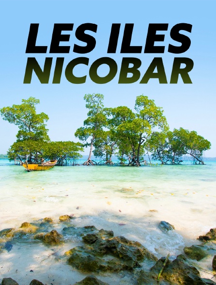 Les îles Nicobar, renaissance d'un archipel