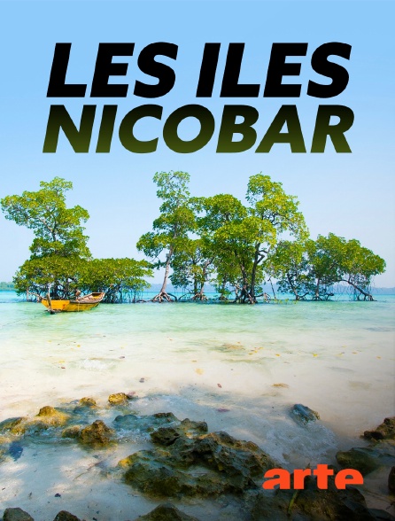 Arte - Les îles Nicobar, renaissance d'un archipel