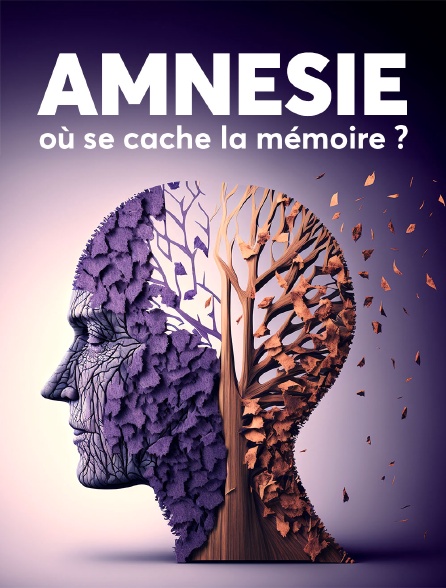 Amnésie : Où se cache la mémoire ?