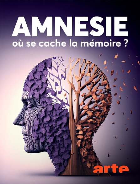 Arte - Amnésie : Où se cache la mémoire ?