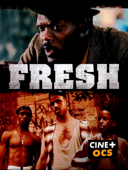 CINÉ Cinéma - Fresh