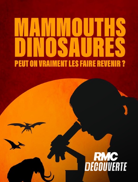 RMC Découverte - Mammouths, dinosaures : peut-on vraiment les faire revenir ?
