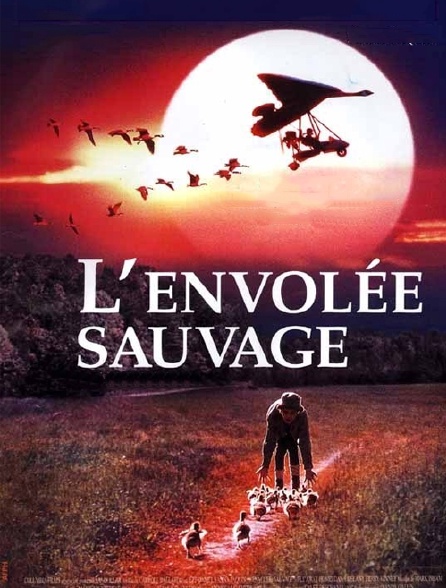 L'envolée sauvage