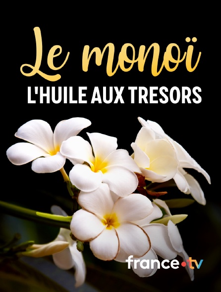 france.tv - Le monoï : l'huile aux trésors