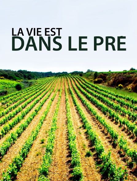 La vie est dans le pré