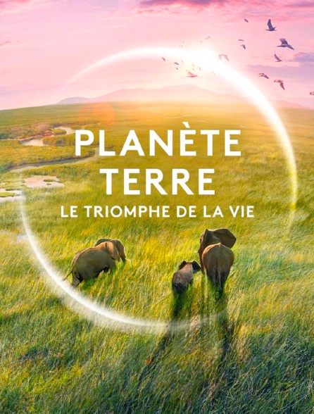 Planète Terre, le triomphe de la vie