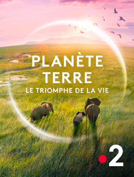 France 2 - Planète Terre, le triomphe de la vie