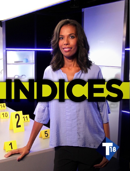 T18 - Indices