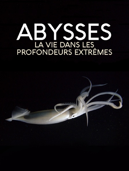 Abysses, la vie dans les profondeurs extrêmes