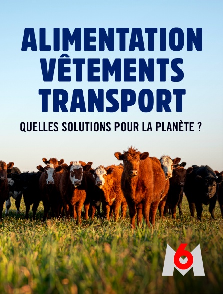 M6 - Alimentation, vêtements, transport : quelles solutions pour la planète ?
