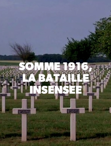Somme 1916, la bataille insensée