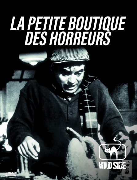 Molotov channels - La Petite Boutique des horreurs