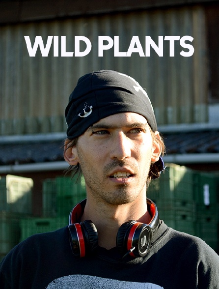 Wild Plants