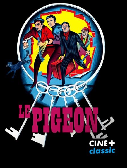 CINE+ Classic - Le pigeon