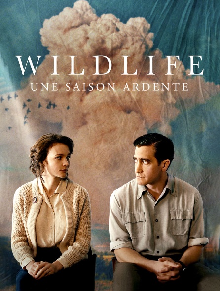 Wildlife : une saison ardente