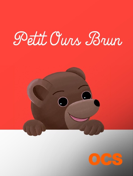 OCS - Petit Ours Brun