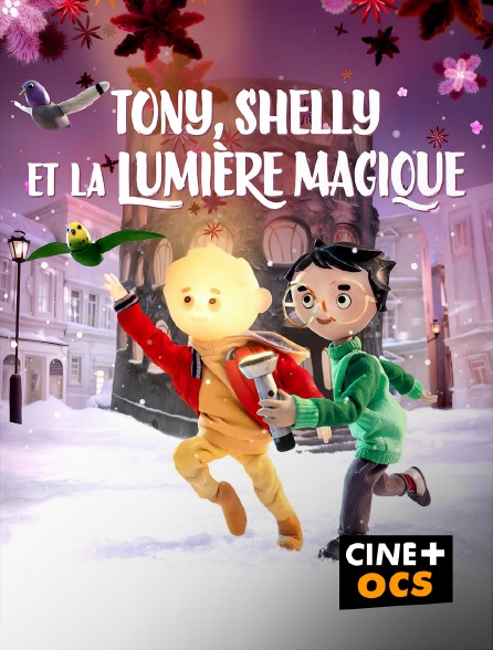 CINÉ Cinéma - Tony, Shelly et la lumière magique