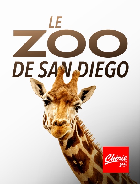 Chérie 25 - Le zoo de San Diego
