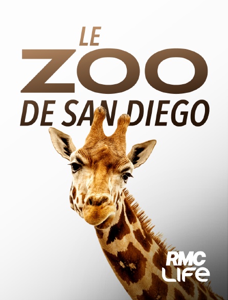 RMC Life - Le zoo de San Diego