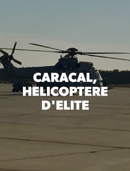 Caracal, hélicoptère d'élite