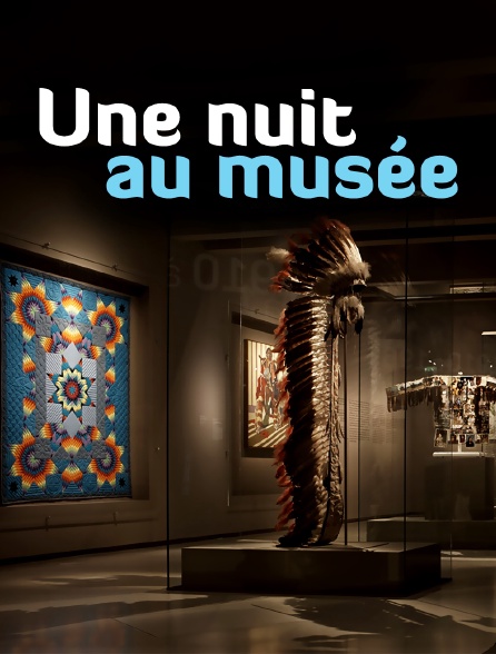 La Nuit Au Musée 1 Film Complet En Francais