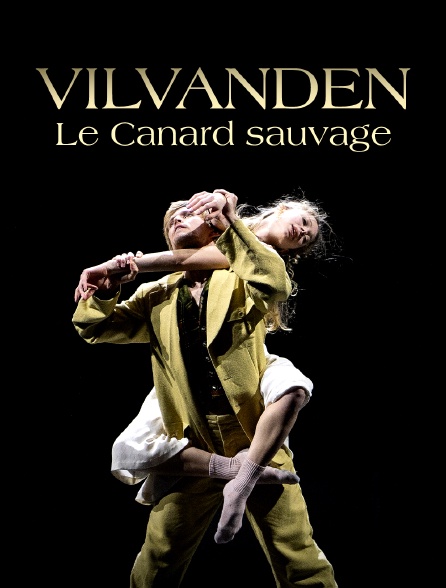 Vilvanden - Le Canard sauvage