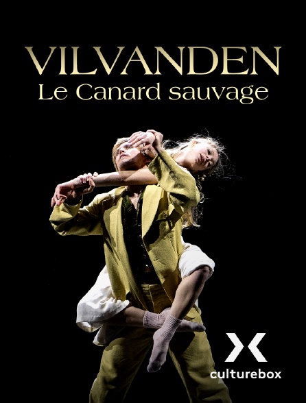 Culturebox - Vilvanden - Le Canard sauvage