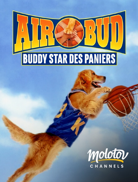 Molotov channels - Air Bud : Buddy star des paniers