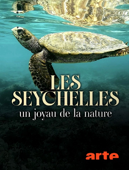 Arte - Les Seychelles : Un joyau de la nature
